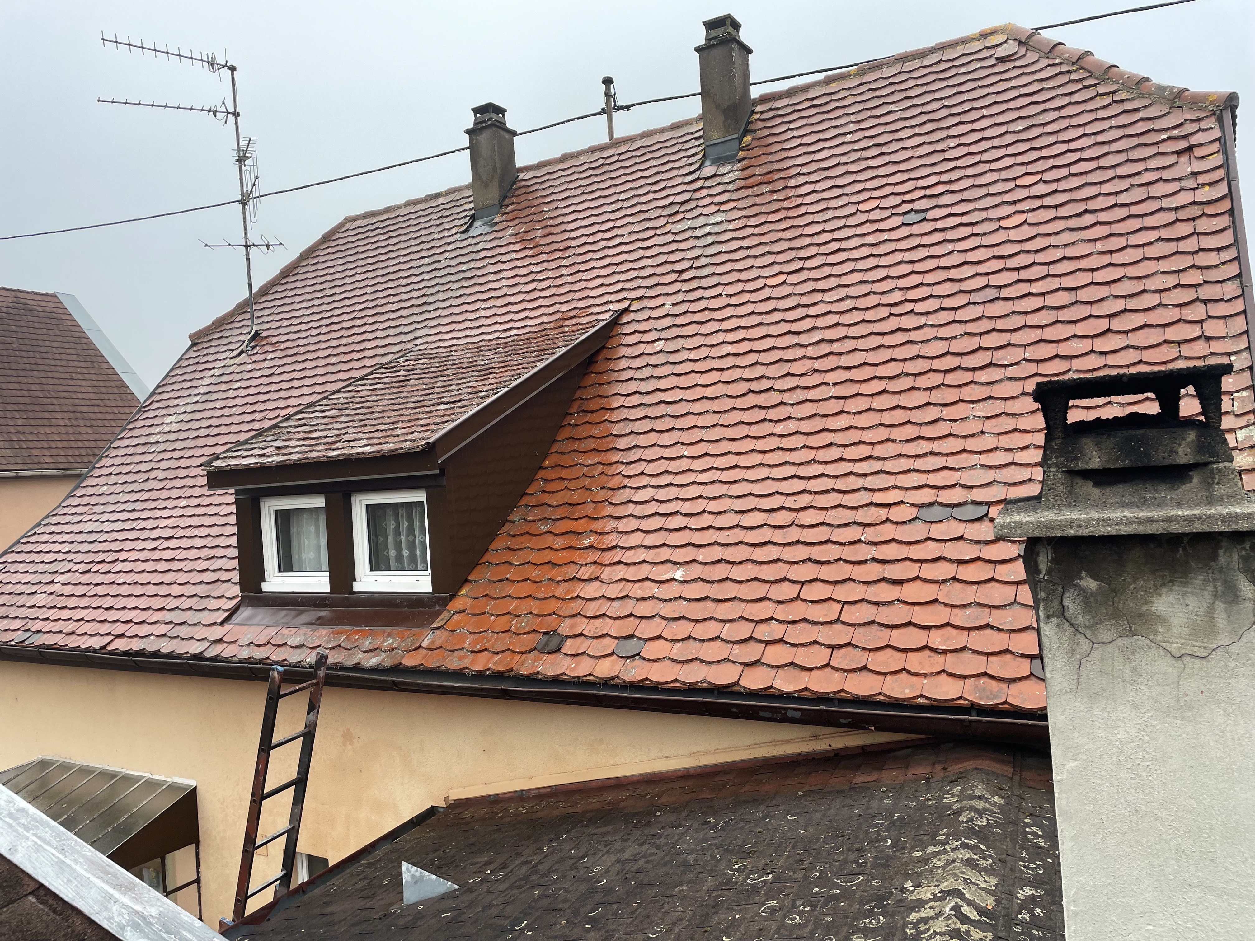 Nettoyage de Velux et de fenêtres de toiture - service professionnel
