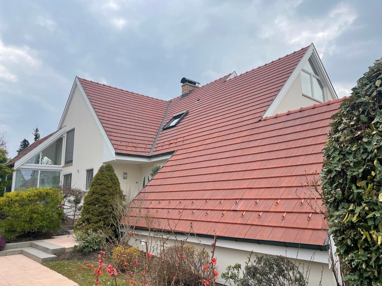 Maisons en file avec toitures renovees